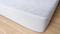 PROTECT BASIC Nepropustné prostěradlo froté / PU